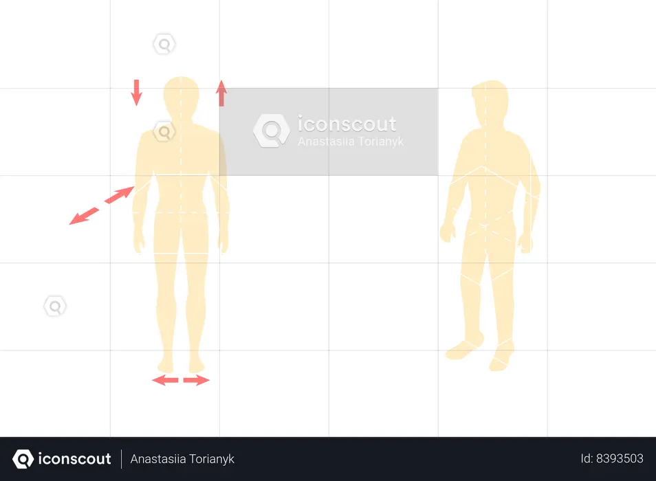 Human Body Anatomical Planes  Illustration