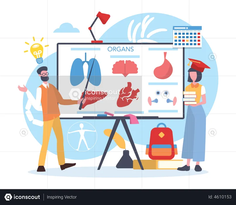 Human body anatomy science subject  Illustration