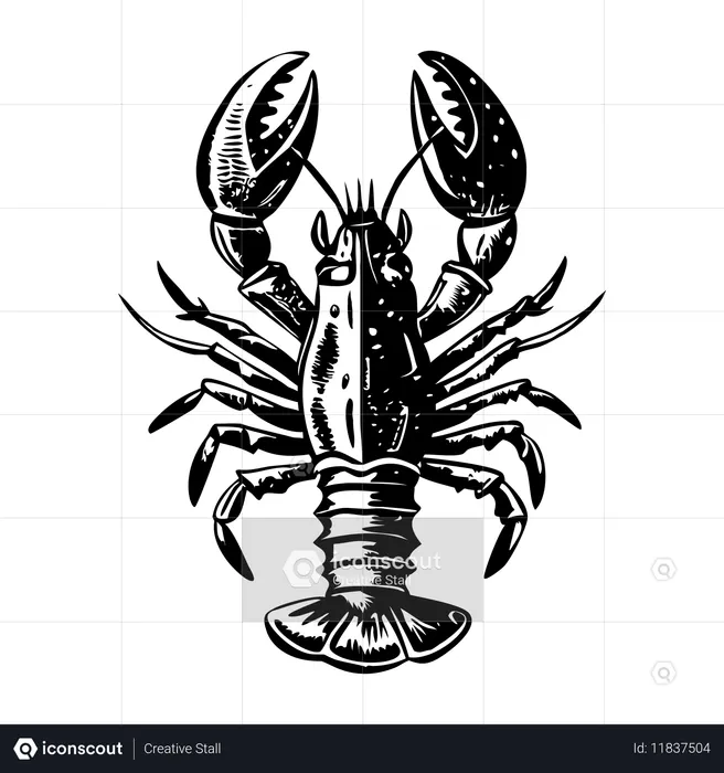 Hummer  Illustration