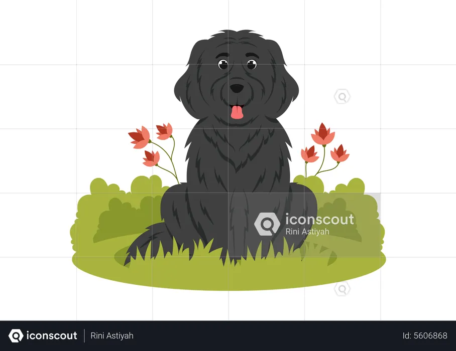 Hund  Illustration