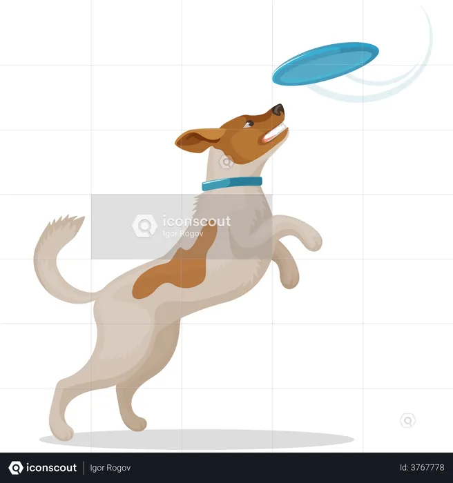 Hund spielt mit Scheibe  Illustration