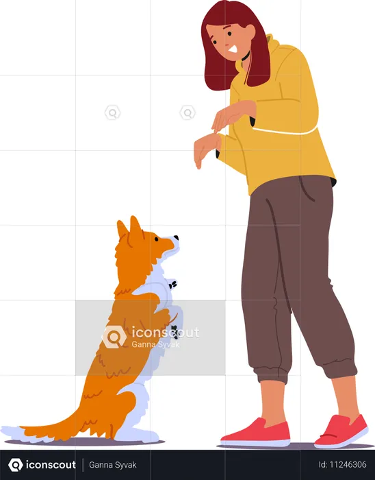 Hundetrainer befiehlt dem Hund, sich hinzusetzen  Illustration