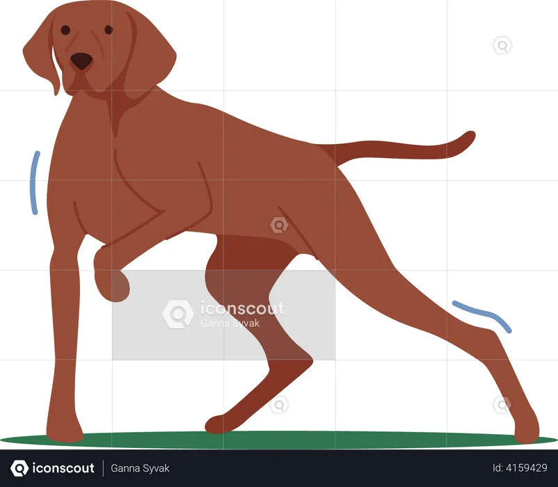 Hunter Dog Stand with Raised Paw  Illustration