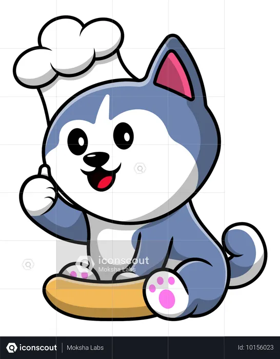 Husky Hund Koch Kochen  Illustration