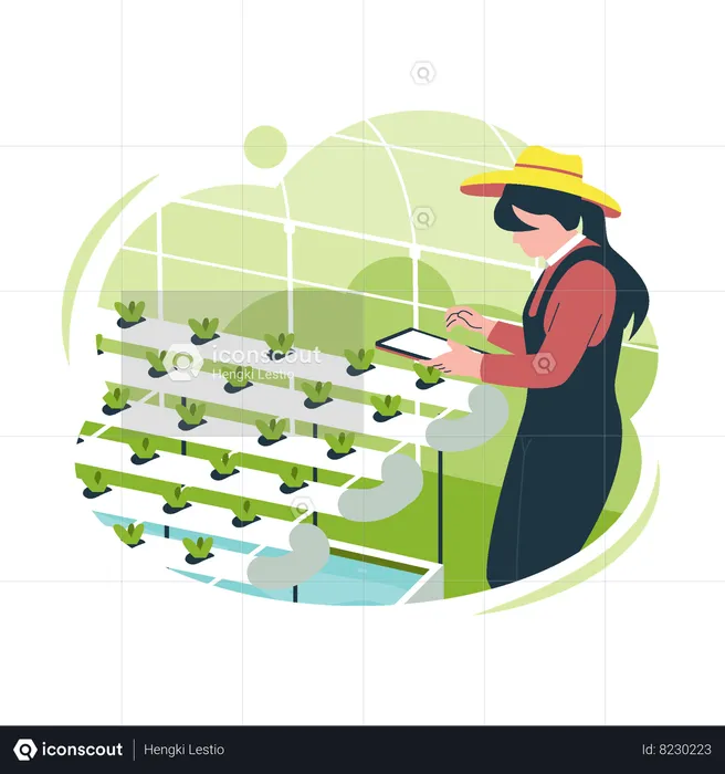 Hydroponic plant farming technology  Illustration