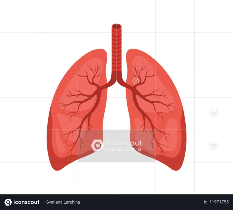 Ícone de pulmão humano. Órgão interno vermelho e preto. Conceito de pneumologia e anatomia. Ilustração vetorial médica em estilo cartoon.  Ilustração