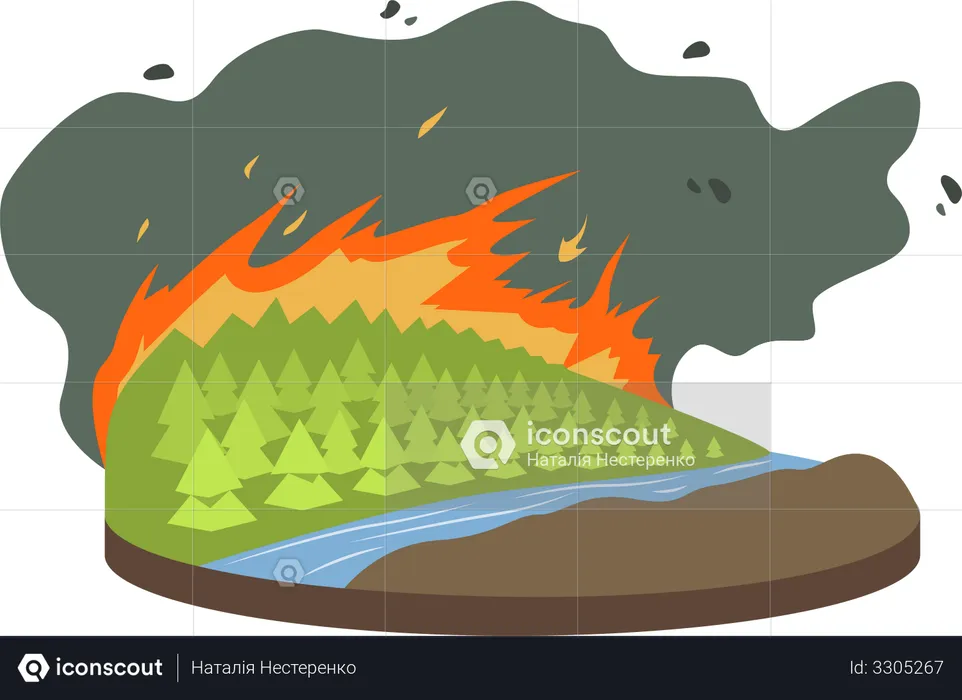 Incendio forestal  Ilustración