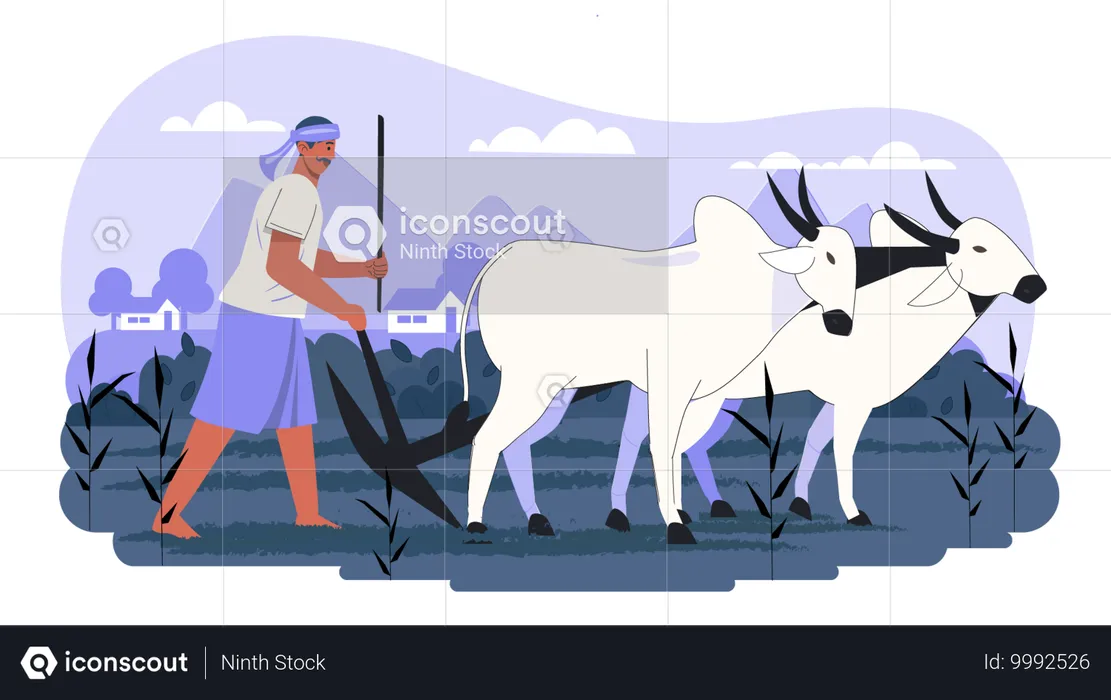 Indian farmer riding bull  Illustration