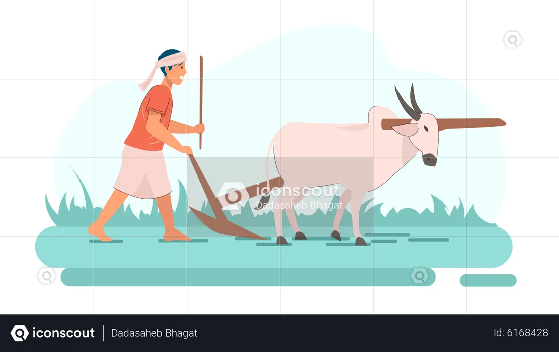 Indian farmer riding bullock  Illustration