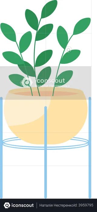 Indoor house plant  Illustration