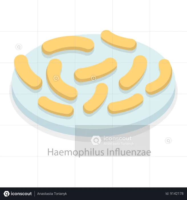 Infection des voies respiratoires supérieures  Illustration