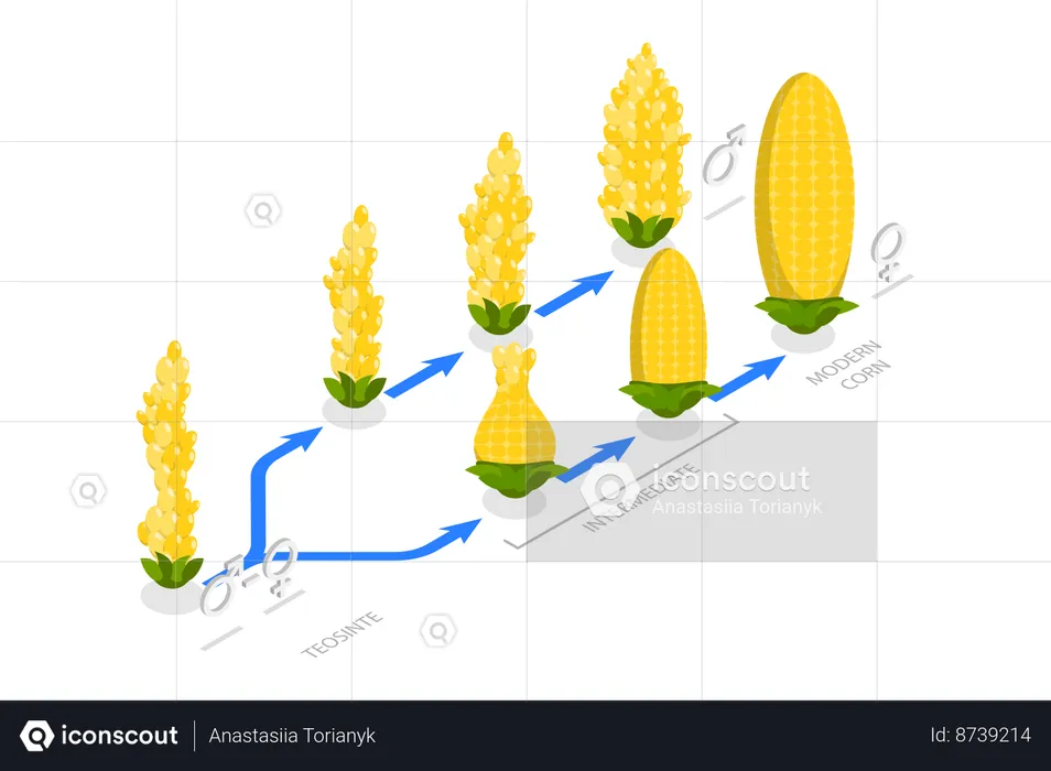 Ingeniería genética  Ilustración