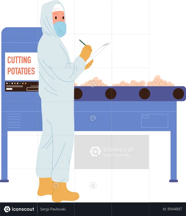 Inspector is inspecting potatoes on conveyor belt  Illustration