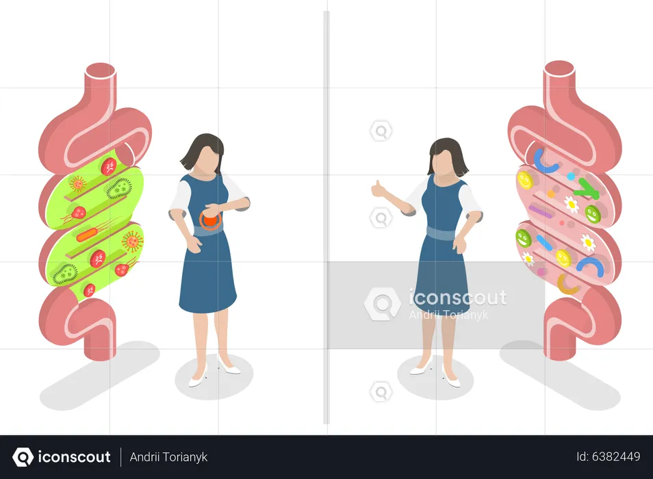 Intestino bom versus intestino ruim  Ilustração