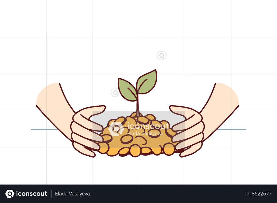 Investment tree  Illustration