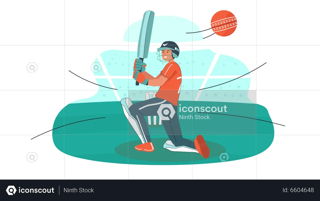 Cricket IPL  Illustration