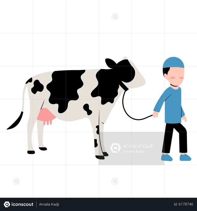 Islamic boy with Cow  Illustration