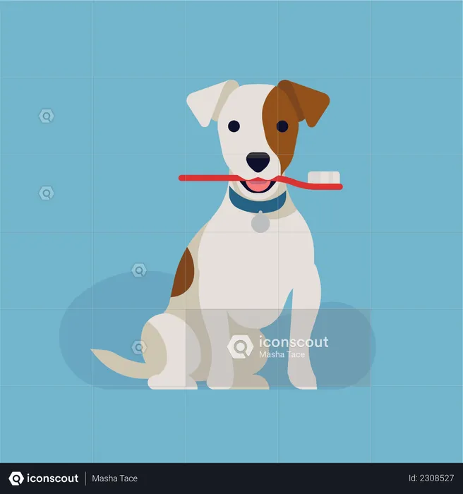 Jack russell Dog Holding toothbrush in mouth  Illustration