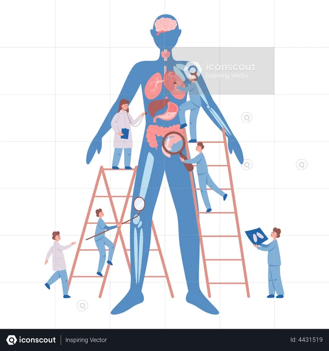 Jährliche Gesundheitsuntersuchung  Illustration