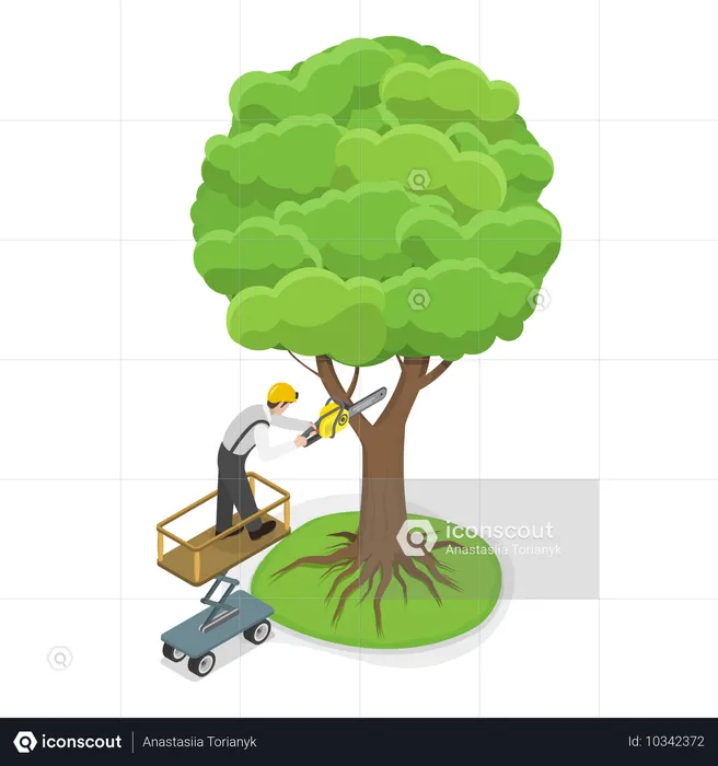 Jardinier professionnel coupant un arbre  Illustration