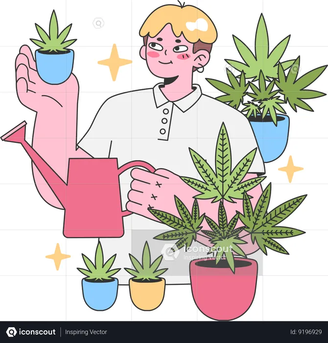 Jeune homme arrosant une plante de chanvre  Illustration