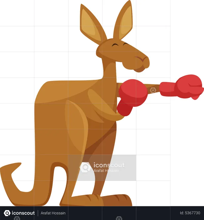 Kangaroo doing boxing  Illustration