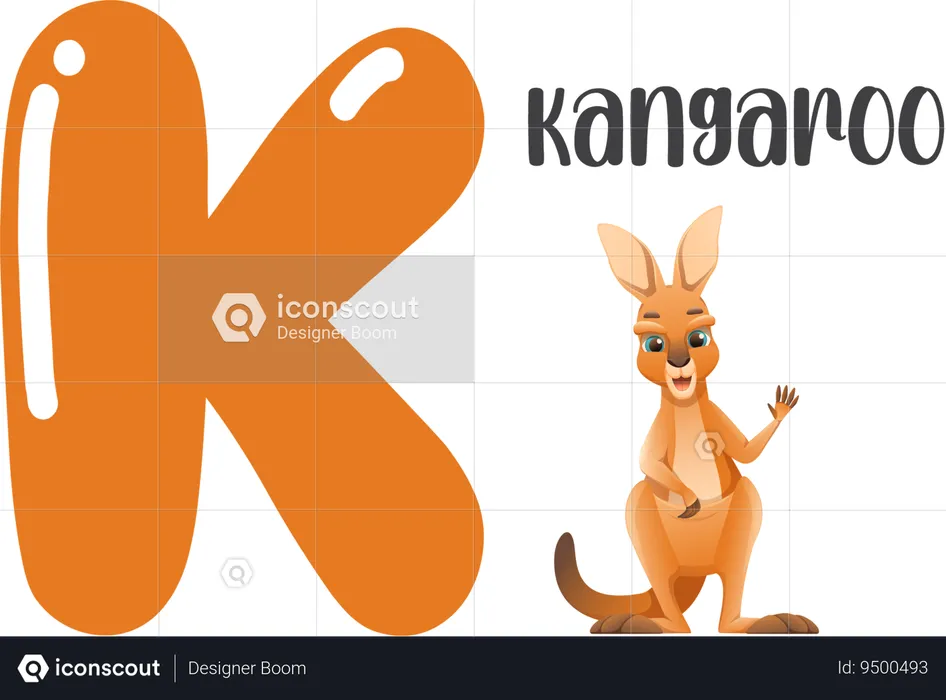 Kangaroo  Illustration