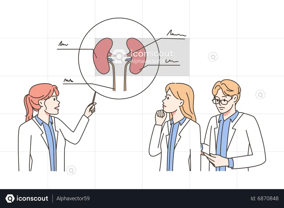 Kidney infection  Illustration