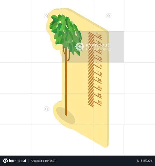 Kids Height Meters  Illustration