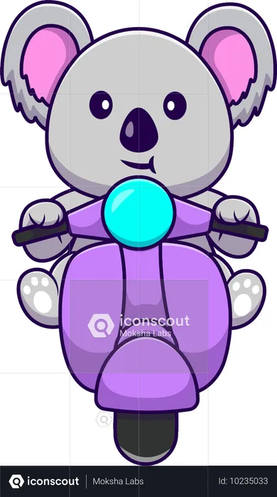 Koala Riding Scooter  Illustration