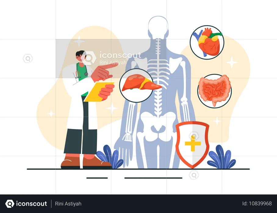 Körperdiagnose  Illustration