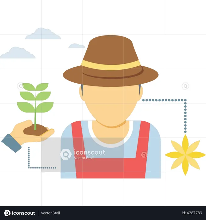 La planta se está convirtiendo en flor gracias a la agricultura  Ilustración