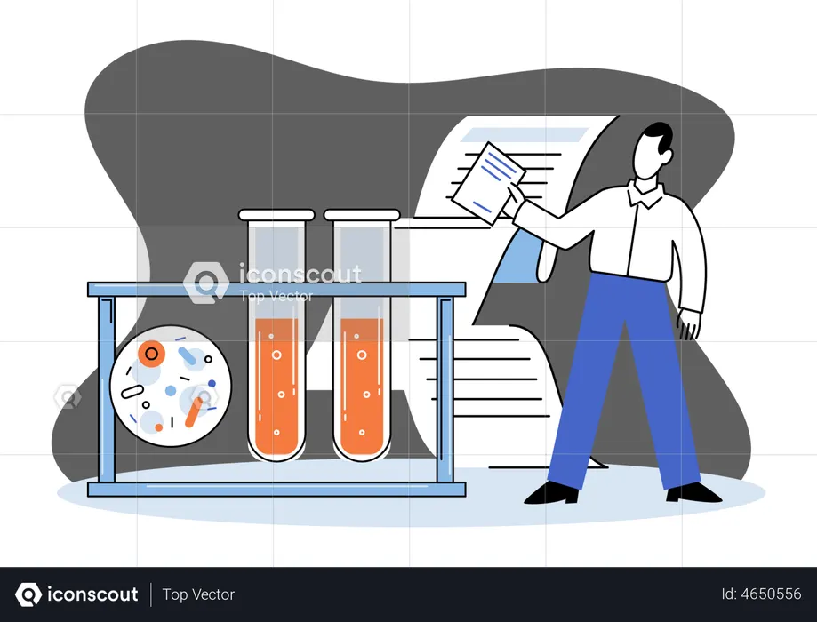 Laboratory experiment report  Illustration
