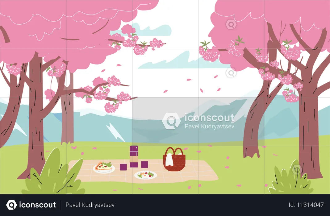 Landscape of Japanese cherry trees blossom or Sakura flower park  Illustration