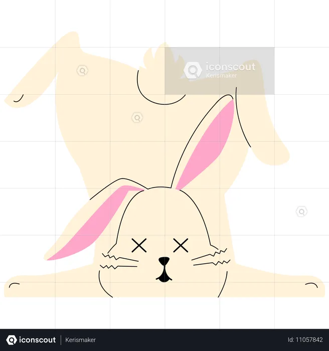 Lapin mort  Illustration