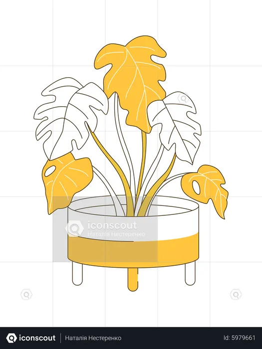 Large plant  Illustration