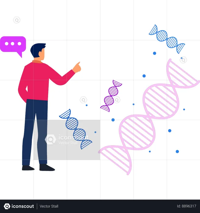 Le garçon montre la structure de l'ADN  Illustration