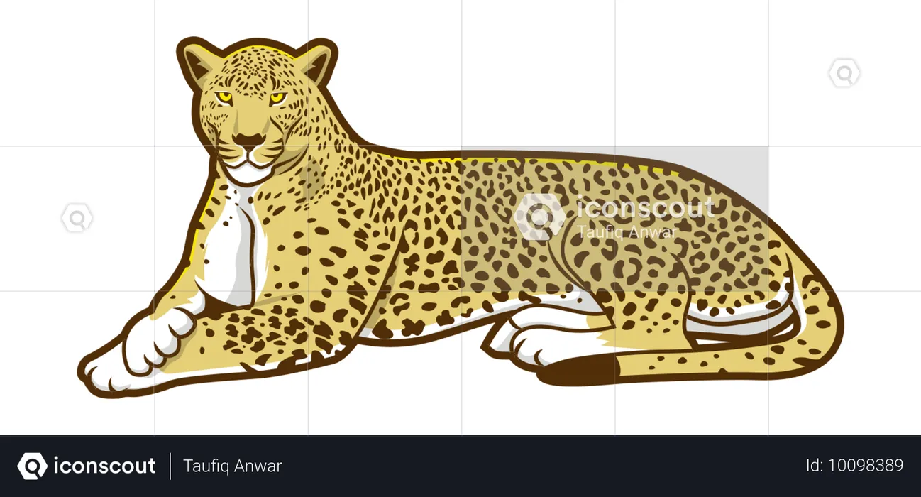 Leopardo Sentado  Ilustração