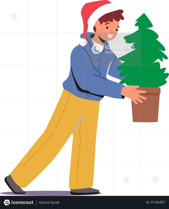 Little boy Carry Potted Fir-Tree  Illustration