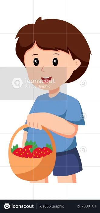 Little Boy With Strawberry Basket  Illustration