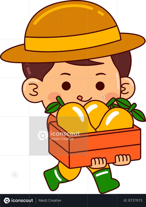 Little farmer boy holding mango bakset  Illustration