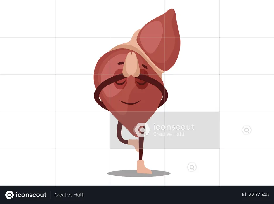 Liver  Illustration