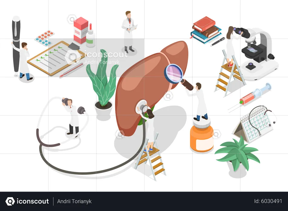 Liver diagnosis and treatment  Illustration