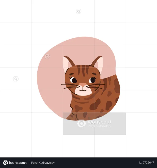 Lovely cute cat  Illustration