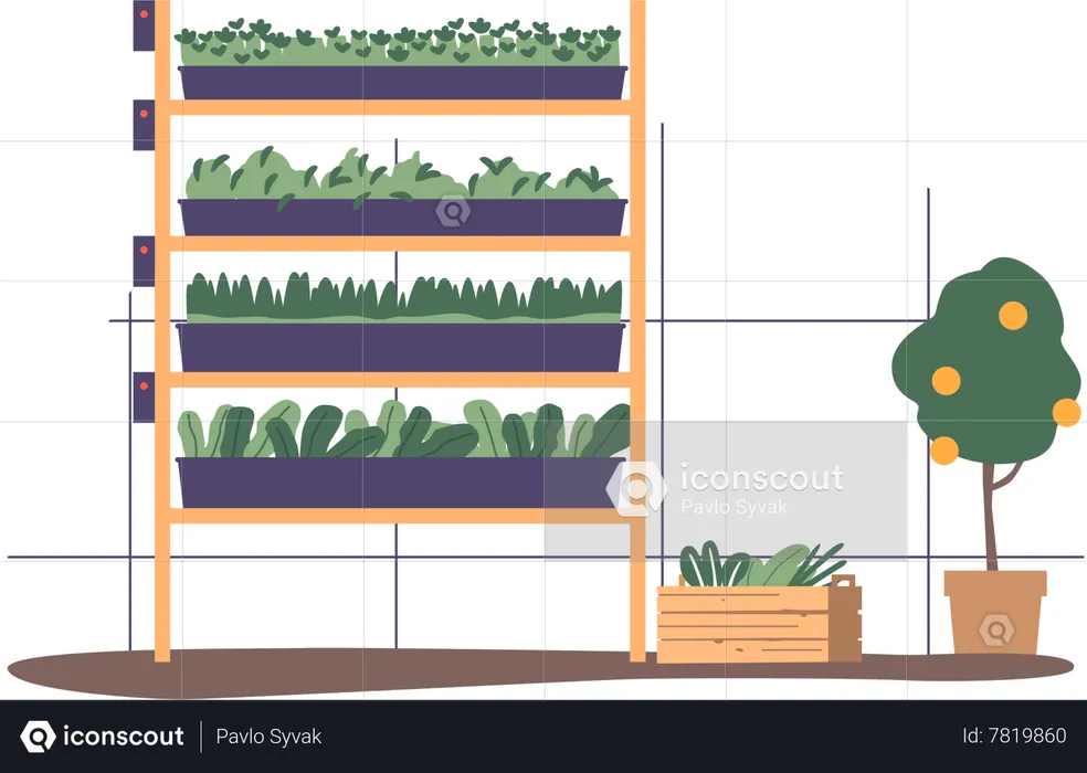 Lugar de invernadero para cultivar plantas verdes en un ambiente controlado.  Ilustración