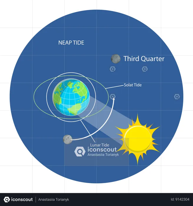 Best Lunar And Solar Tides Illustration download in PNG & Vector format