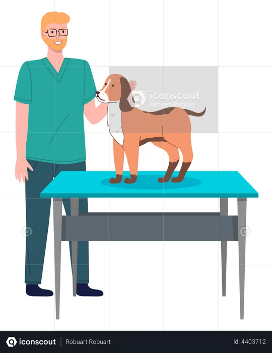 Médico veterinario masculino trata al perro  Ilustración