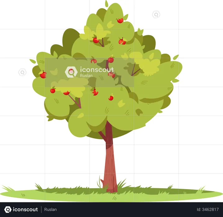 Macieira na floresta  Ilustração