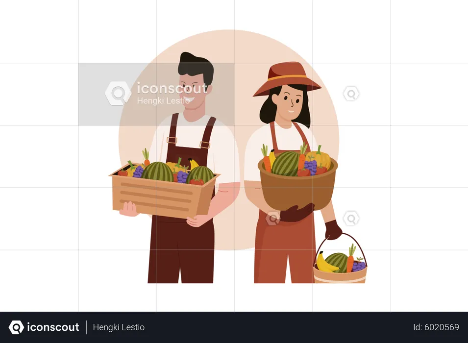 Male and female farmers harvesting fruit  Illustration