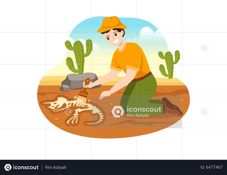 Male archeologist brushing out fossil bones  Illustration